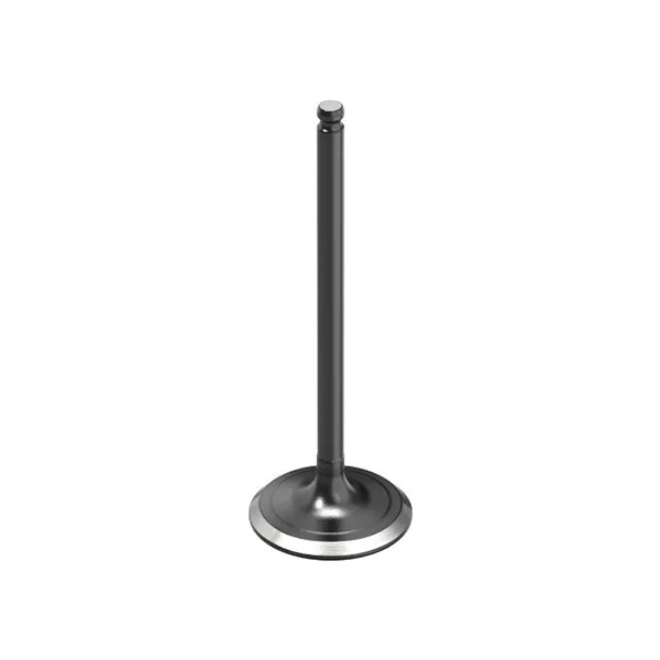 Valvula Escap Biz/pop 110 Boutte